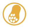 Frutos Secos